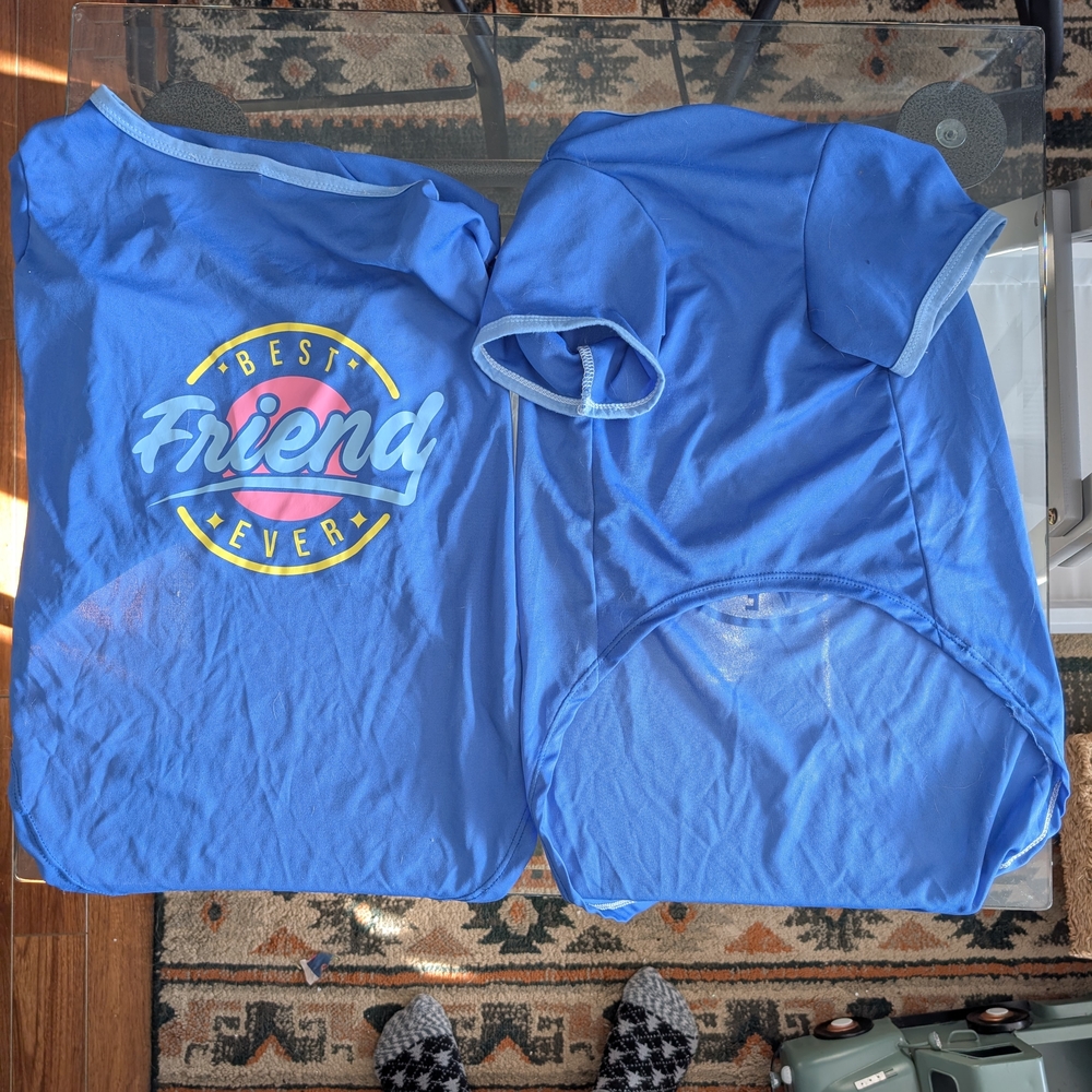 Blue Best Friend Ever Dog Shirt